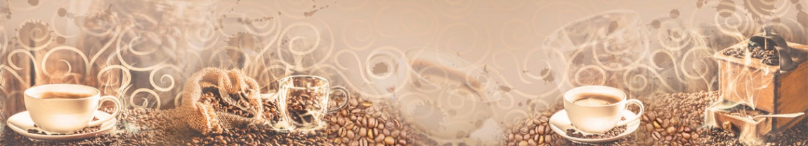 skinali 1496